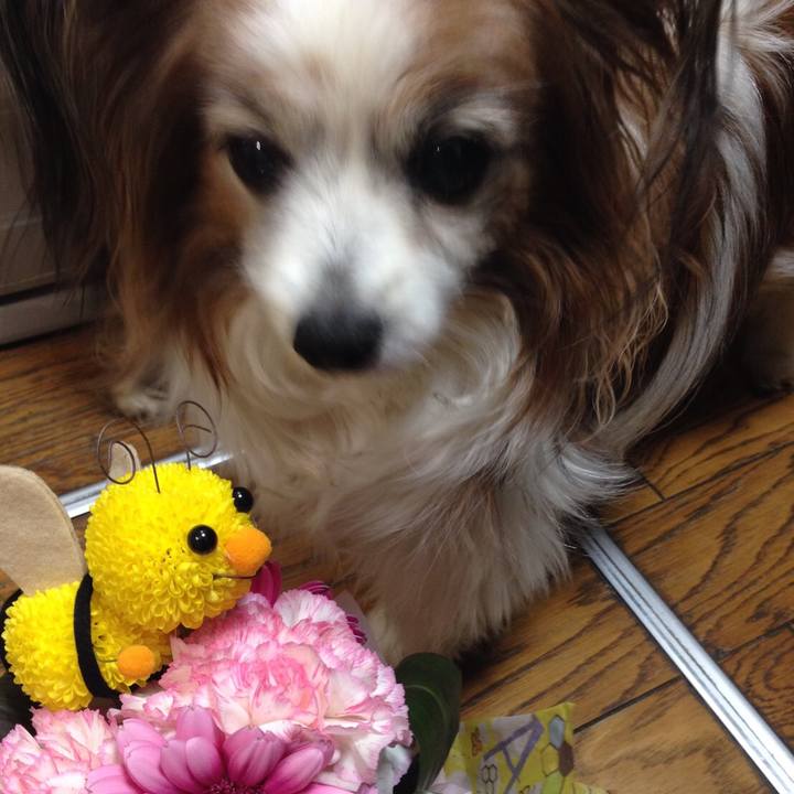 80d19b9a 8174 42dc 953a ac1123b7c466 1533262096604