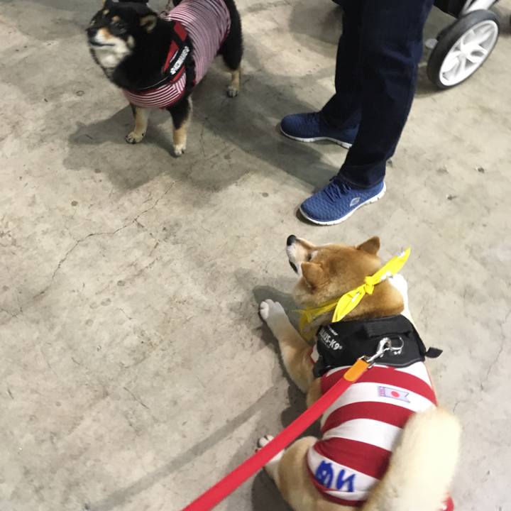 80d1a9f8 f907 4630 aa28 1f925ce82f5a 1556870917823