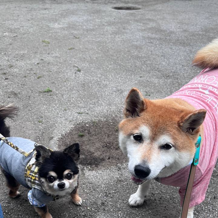 80d1aab8 b1e7 4bb6 b849 665e4b141558 1717401816396