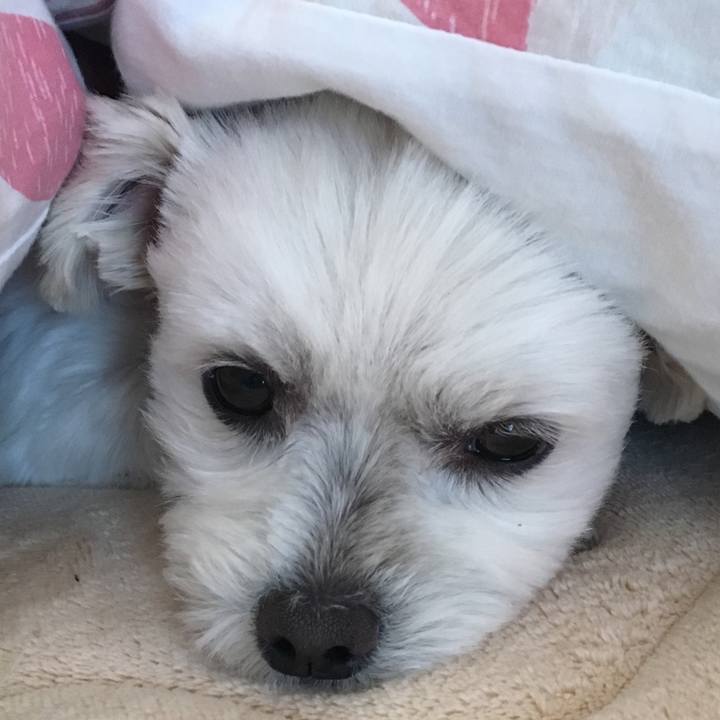 80d1b588 a61d 468e 8fc6 b3667e36fce3 1542495716765