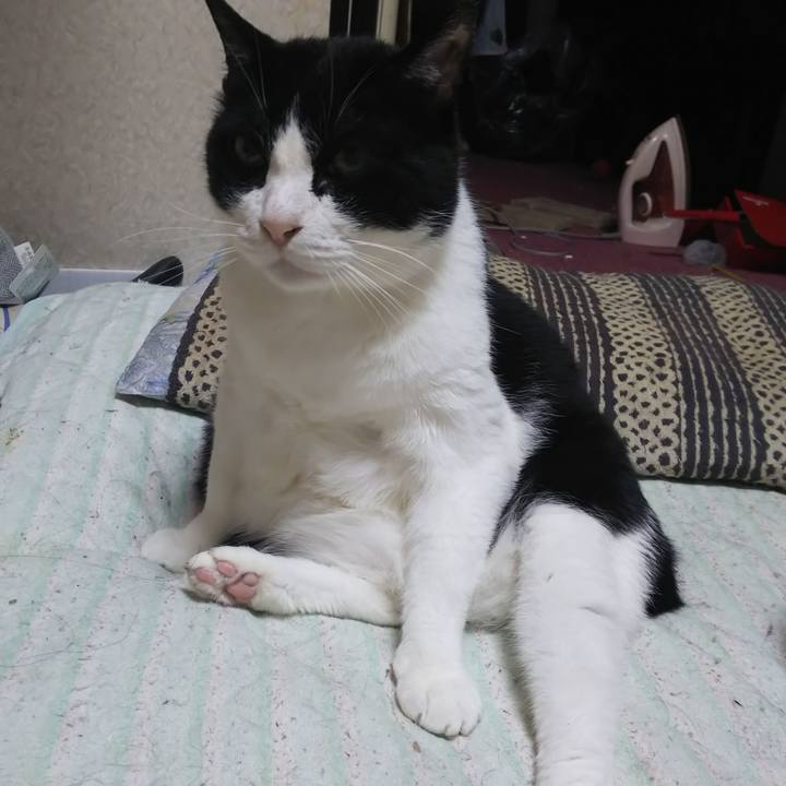 80d1b5ca 0258 4ac6 9045 7b8eb81dff23 1560550740617