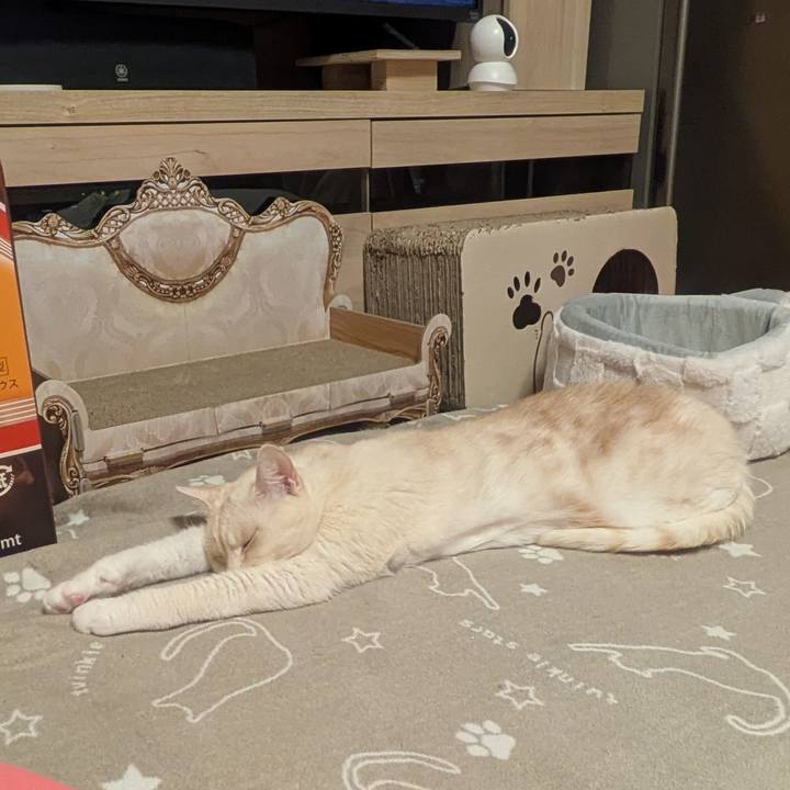 80d1bc47 31f0 4651 9b31 186c33efa893 1771145636068