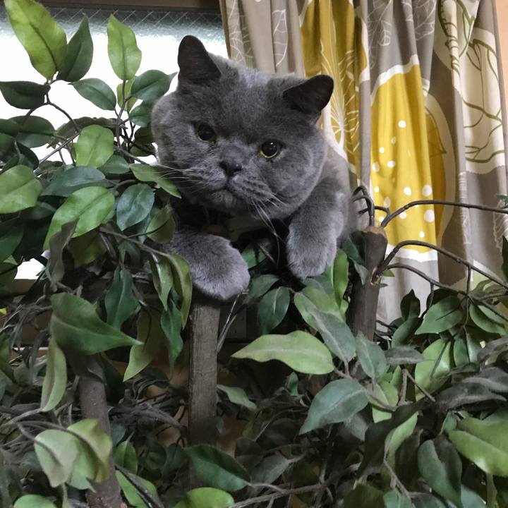 80d1c519 66b8 4aa9 a092 c9998f2d5a58 1773479192327