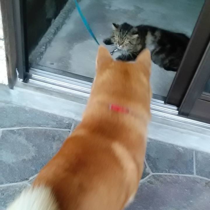 80d1d6ae c736 4b4f 9ad2 f7f8a2e16059 1599783421776