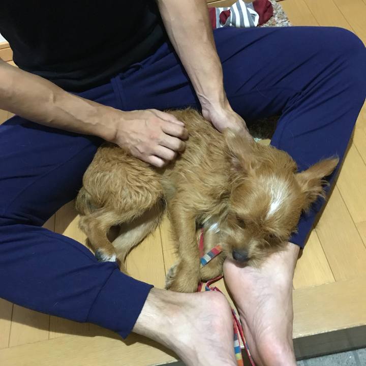 80d1fd07 8719 4c1d 8710 567aad034470 1538302853721