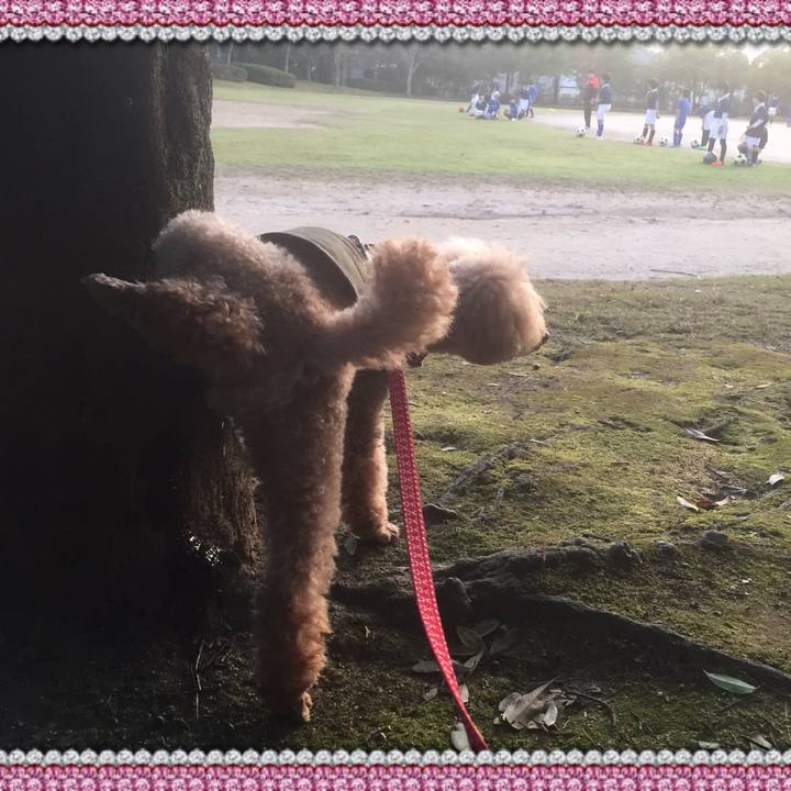 80d229ce 53c3 410b a194 519bd3af8194 1540197247439