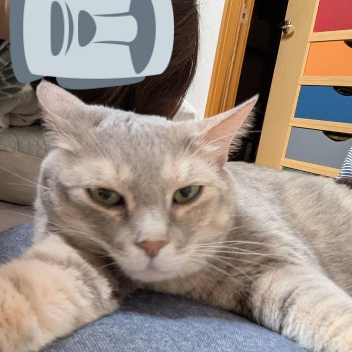 80d2314c ebd0 4aad 99b4 45d5611abc51 1746181229510