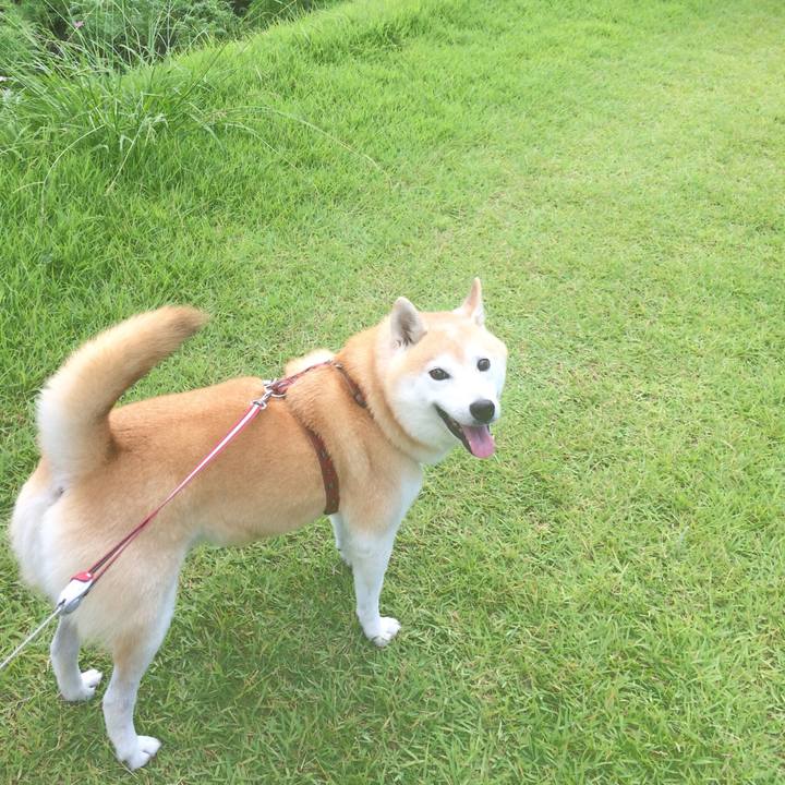 80d27e9d 76bd 41bf b108 11b4a4ea8b40 1569232644880