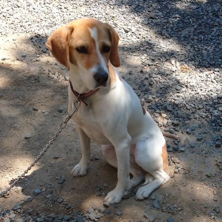 80d28d90 dfb6 43b5 95f1 bb9b01f716ab 1590719757709