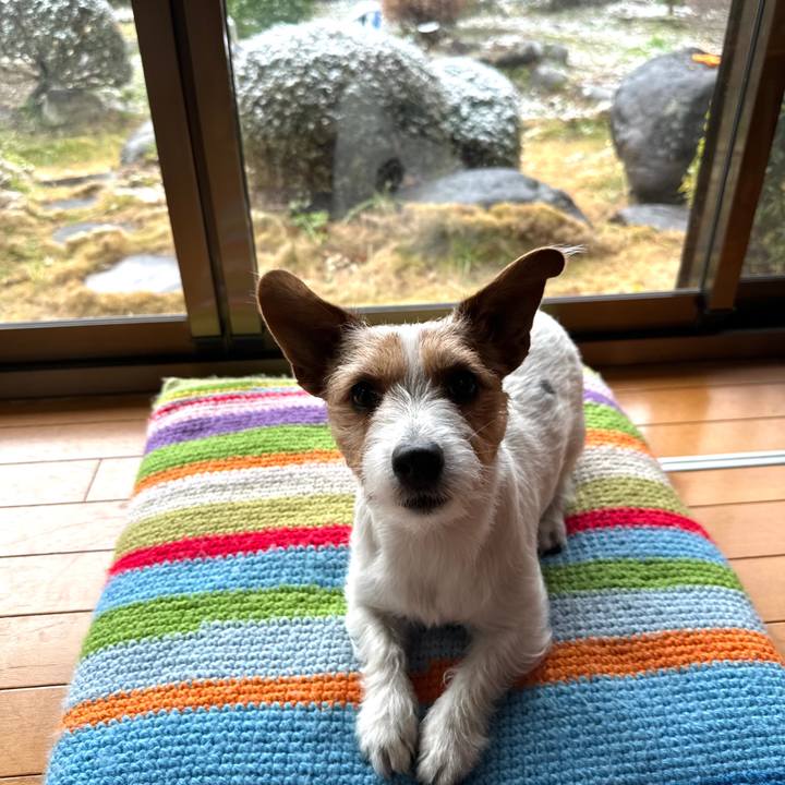 80d2a51f 7d5f 49e8 a868 41aa5a59b4b2 1770509806712