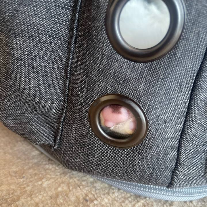 80d2bfda 00f3 4875 a885 6a1dc0be4f98 1706332119887