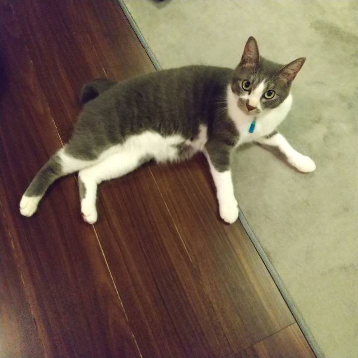 80d2feb9 1e39 47b9 95cd dac19b81d65d 1623327288087