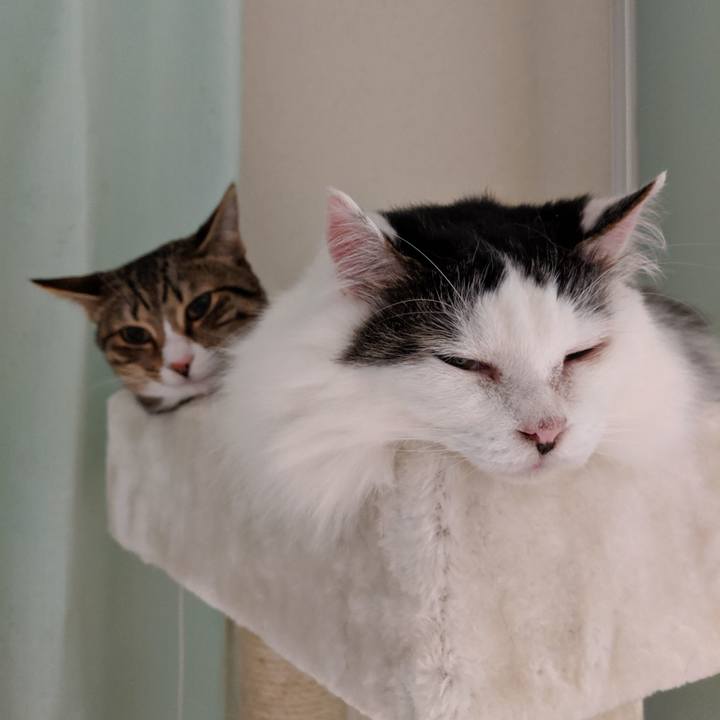 80d31573 5aab 4b1f 8ce1 32306e7a826f 1559220117429