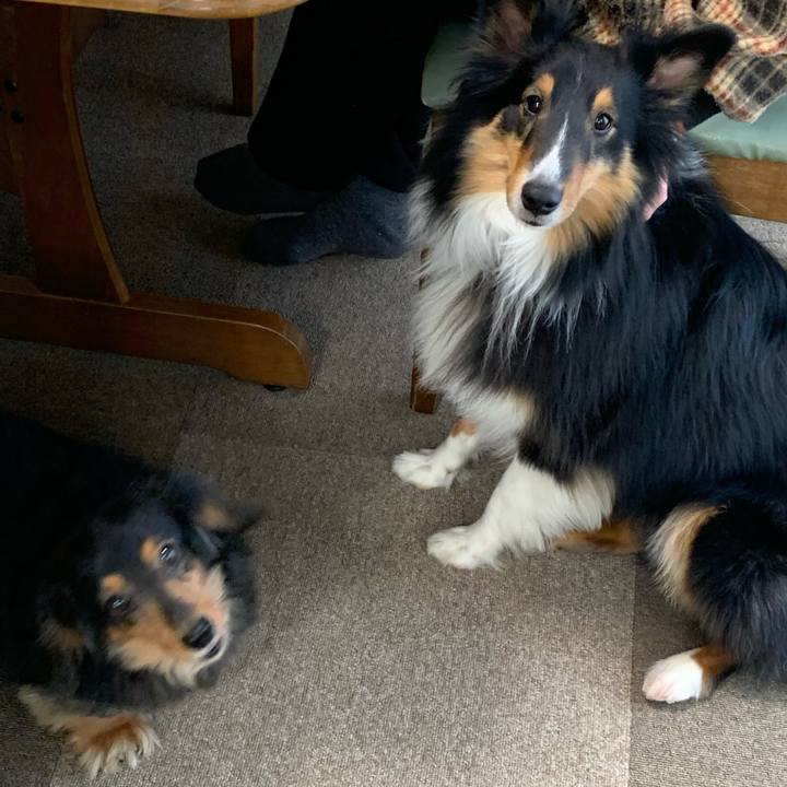 80d31b97 5e1a 4aa0 953a cc2808db0650 1580596615337