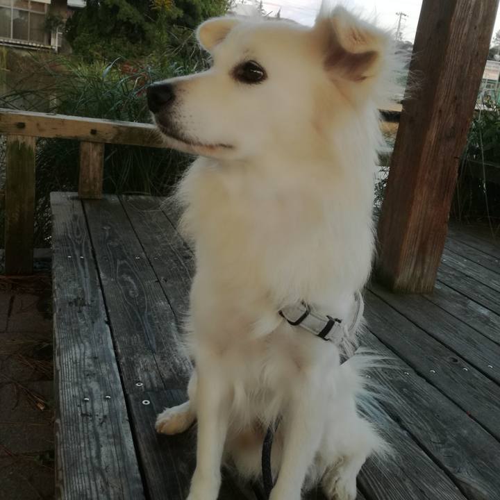 80d31cab 3a8b 49b2 b7d8 54fc8ab1c0ad 1509353334310