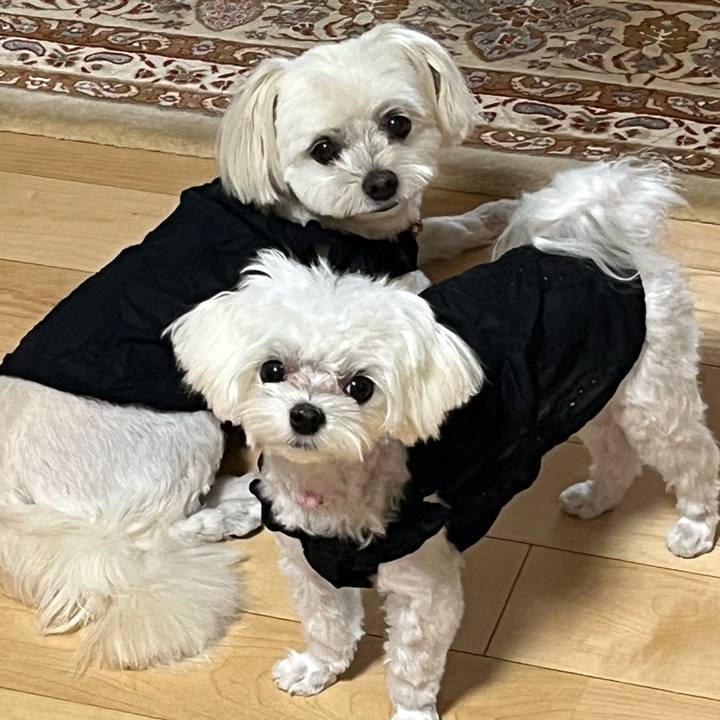 80d33d30 be6f 47a6 aa57 e5f60169b9c6 1721646094549