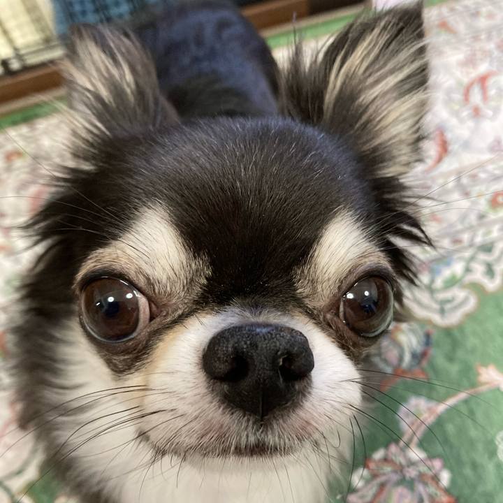 80d3486d 1e83 40fc a630 f998b5d78062 1659221433396