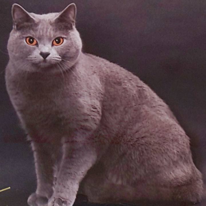 80d3500c d771 48b1 a4da b2f44612e66b 1574237654492