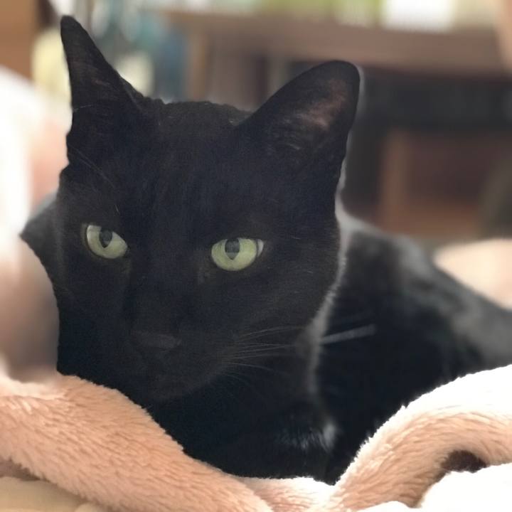 80d351cd 6475 4899 a3d2 17301908500d 1526088860351