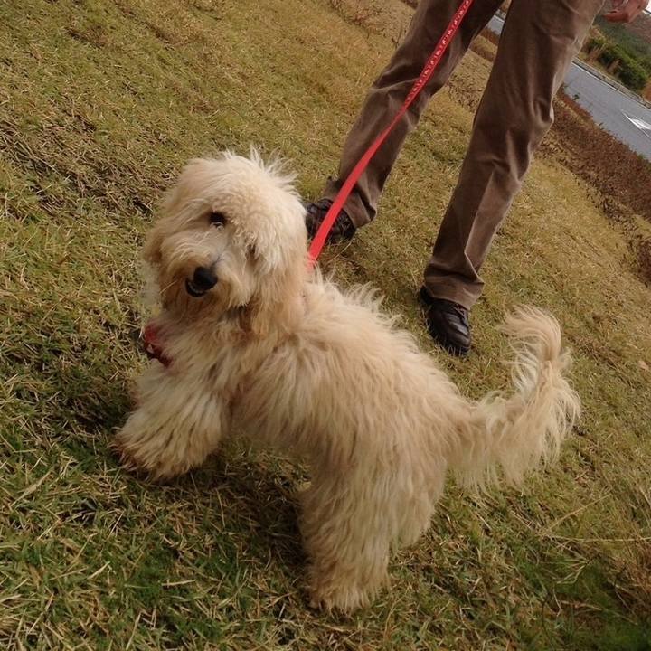 80d37827 4e4e 459c b01c 6f62ed06c48b 1762742347785