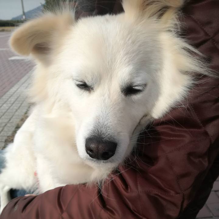 80d38600 d973 4d2a 93a3 9b143e491d0c 1517625044541