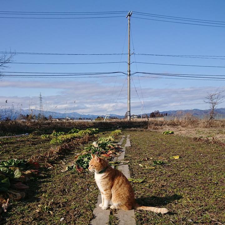 80d38bd8 8c65 4a93 a714 ba740c652e16 1582957159499