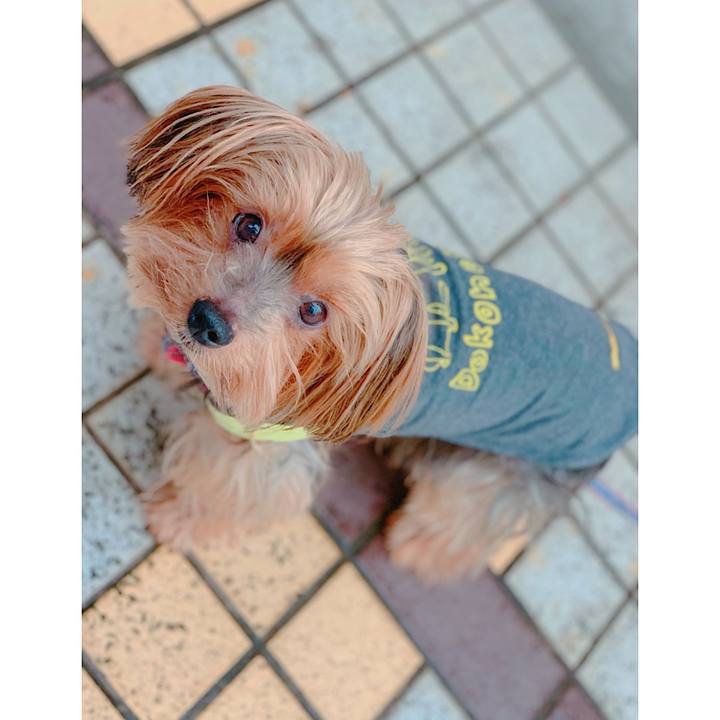 80d39ad1 b257 482b ae53 3f70447481e8 1571179180535