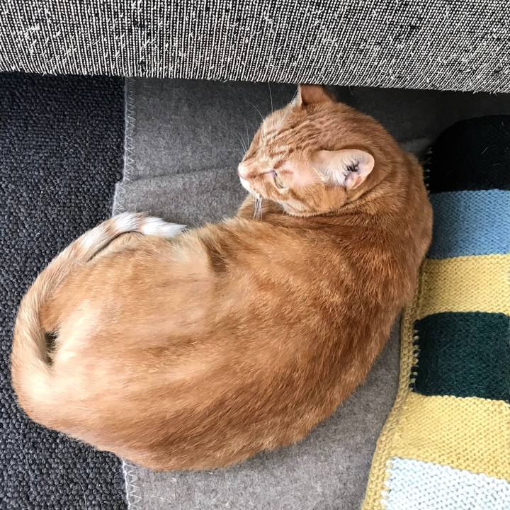 80d3a3f7 030d 4e13 990b 29d67bee26b7 1551488526471