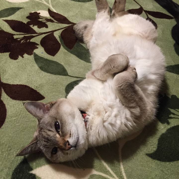 80d3a692 3a65 427f a334 ca3e95c64ab1 1587469098170