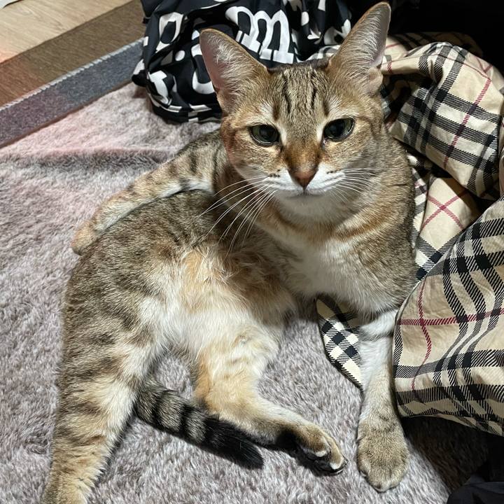 80d3ac4d 84bf 4a2f b611 43ff25b2f0dc 1705390603773