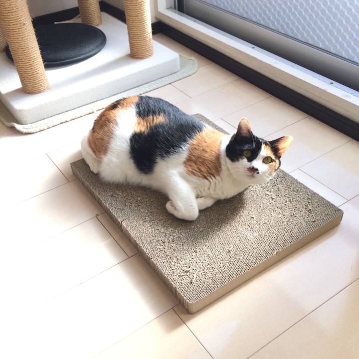 80d3d035 285f 4ba6 9f57 4299339cfcc8 1610701688640