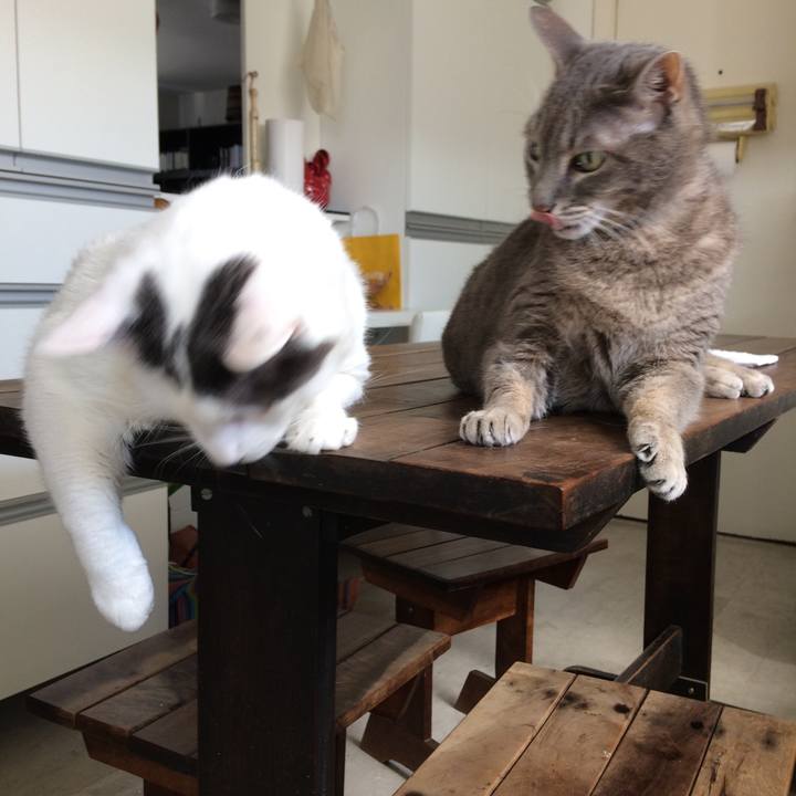 80d41006 eb86 47a8 8cdb ef0bf5155a33 1508693603111