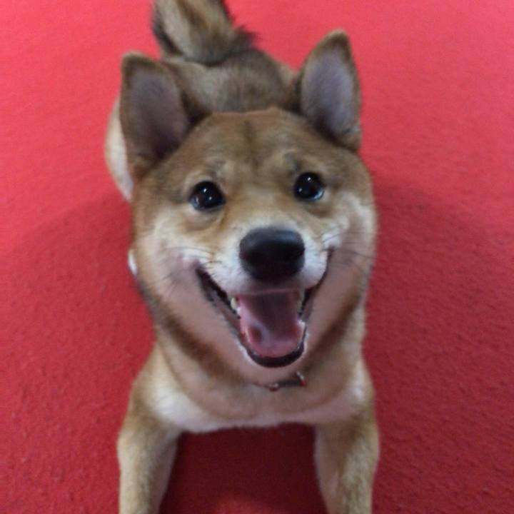 80d47d60 9d8e 4eca 998a cbb2987e4cee 1519556298597