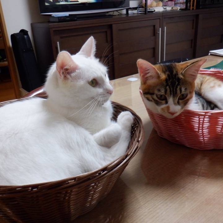 80d4837e 957b 4a65 8f58 9fb77874f4a6 1632362130820