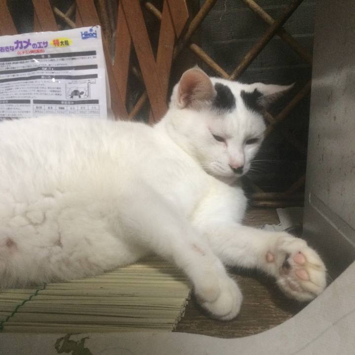 80d4fa6b 3e6f 4359 890f ab3362c89ba9 1564322767014