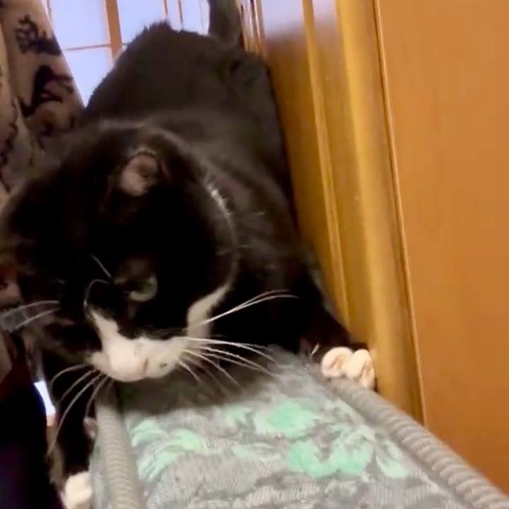 80d508d7 ce76 40ab bde4 30c875f8bb96 1764987564115