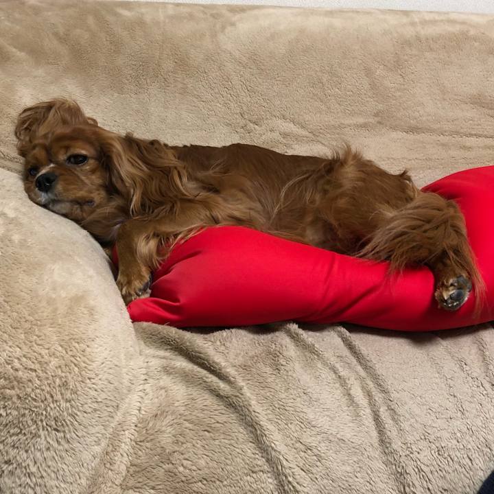 80d55536 4d9b 43a9 a9bb dc2aa56f0bcc 1615552163520