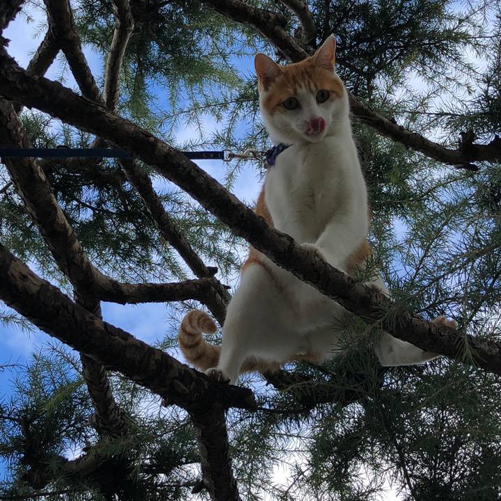 80d5687c 2ac8 494f af8b d1a23d167415 1540962628274