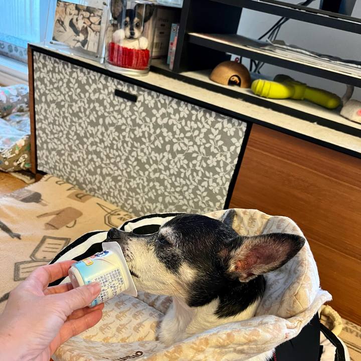 80d57ec8 28ae 4c49 952c fef3e7fb7c2a 1644879330514