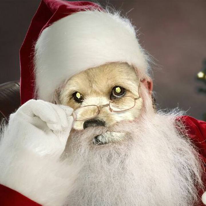 80d5a1f4 19de 4af6 8922 7f46c65c18d9 1513552579307