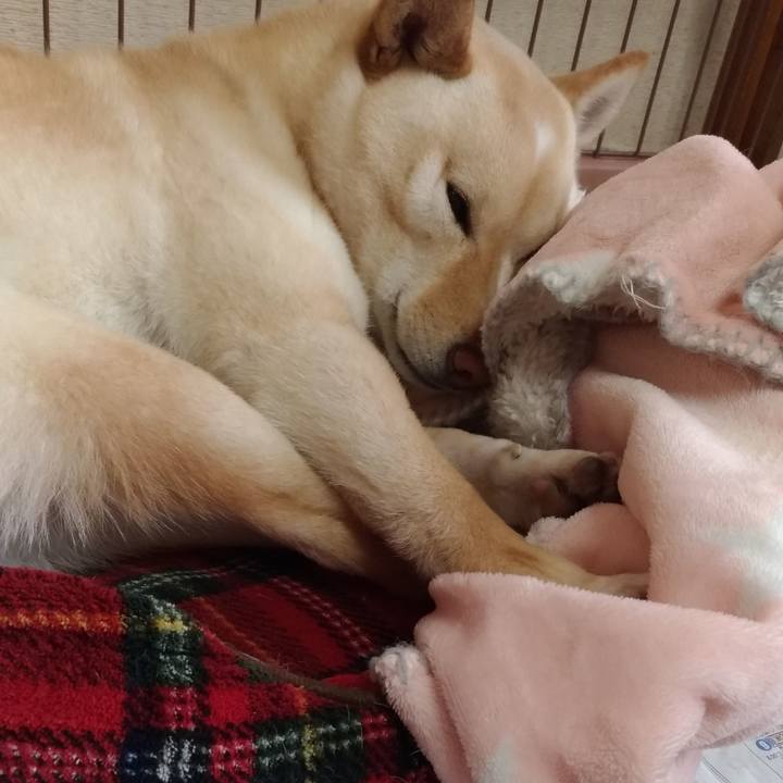 80d5a8fa 4fca 4da5 9d6f abd5fedc68be 1552711352703