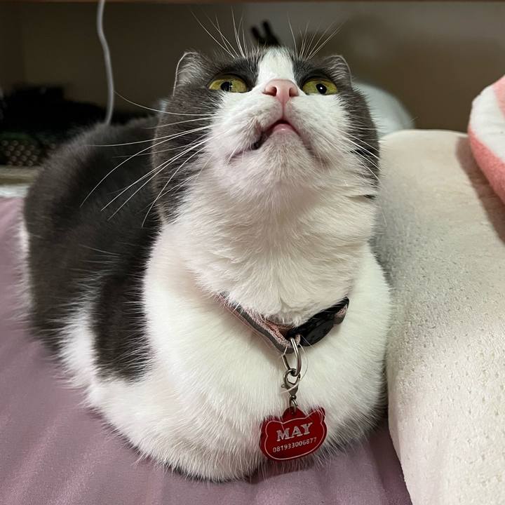 80d5b371 2e59 40bc a7b0 e928d27b181a 1764931641781