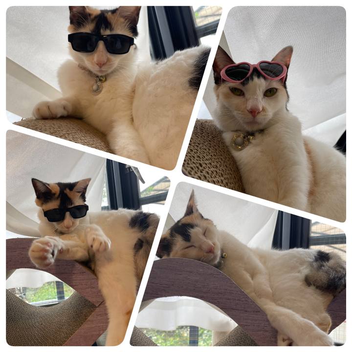 80d5b9fe 14ca 4626 8bba 8c6b65ff1b5d 1695791749669