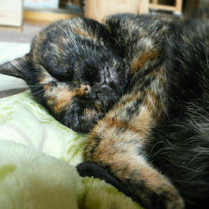 80d609b0 dcdf 4595 84ff dcad86787520 1531805161219