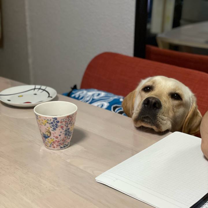 80d6642c 97a7 4fe1 852a 47d2e54bf604 1655383644423