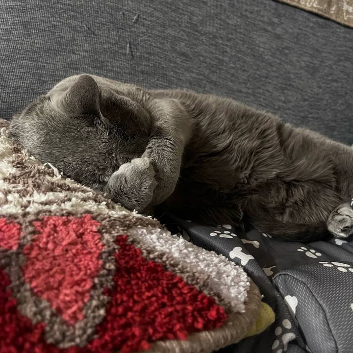 80d6a6e5 d98f 46f3 a1e4 e183132c83c3 1695905397841