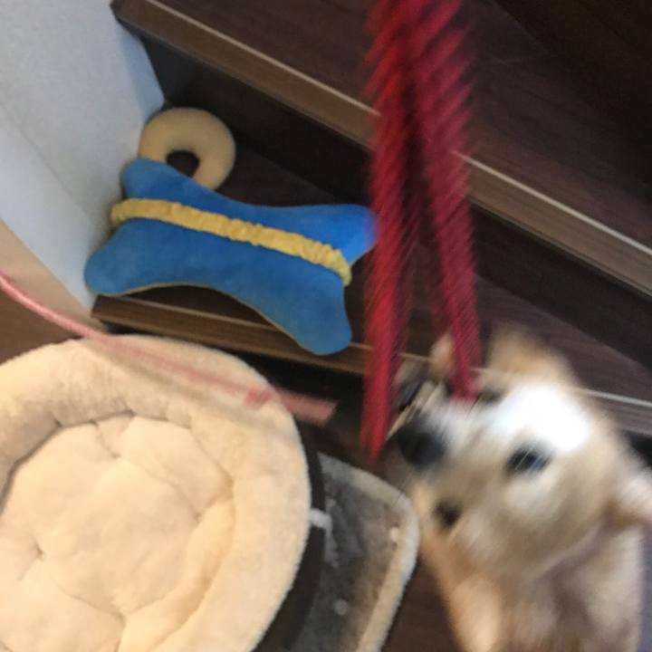 80d6bac0 6337 4ed5 a3e9 a075ec480cf1 1514720515676