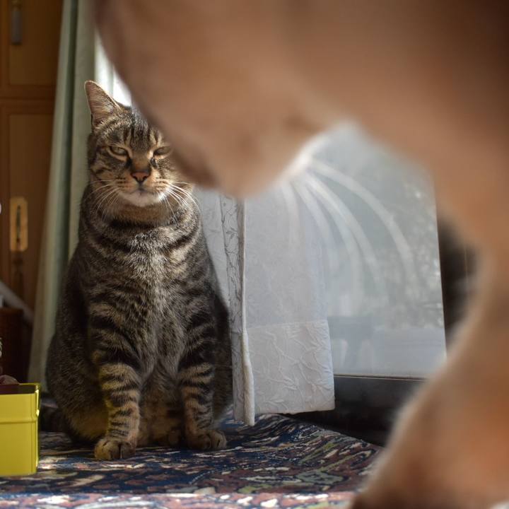 80d6d46c 0edd 42ad b190 15e925f0ff06 1582260493577