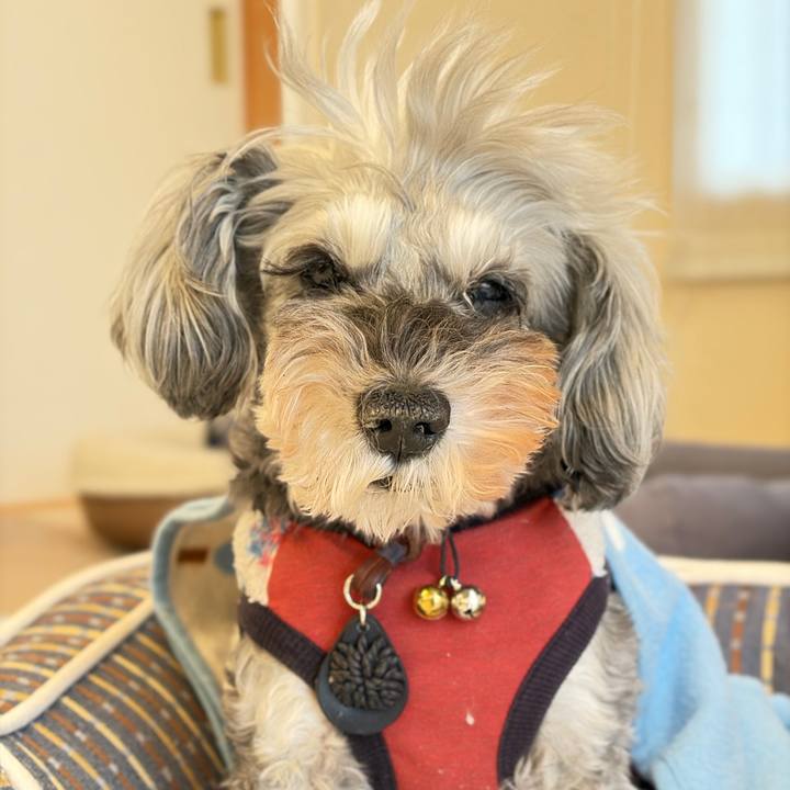 80d71774 ed11 4149 8917 a0e3c392c7f3 1764553381739