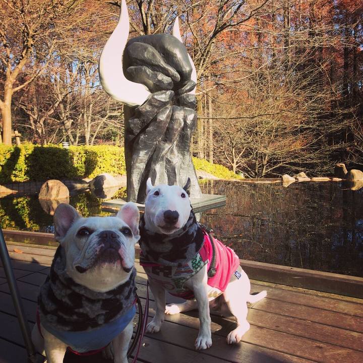 80d74540 4c77 4139 a03a ae93eef5beea 1513398692653